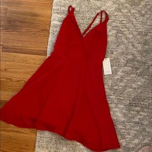NWT Tobi Cross back Skater Dress